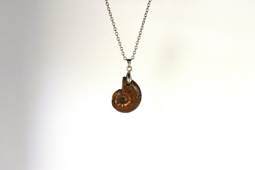 Collier en Ammonite avec Cordon en Acier Inoxydable